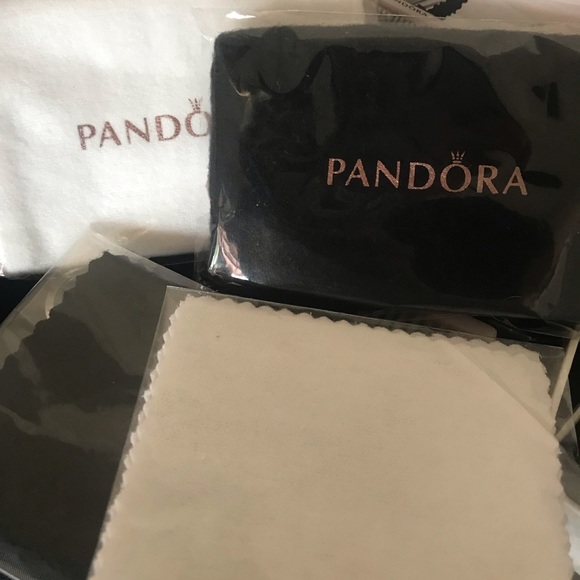 Pandora Bracelet + Charms and Cleaning Kit - Picture 4 of 4